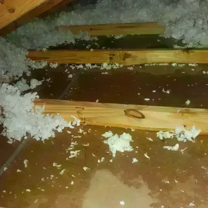 Attic Water Damage in Lochsloy, WA